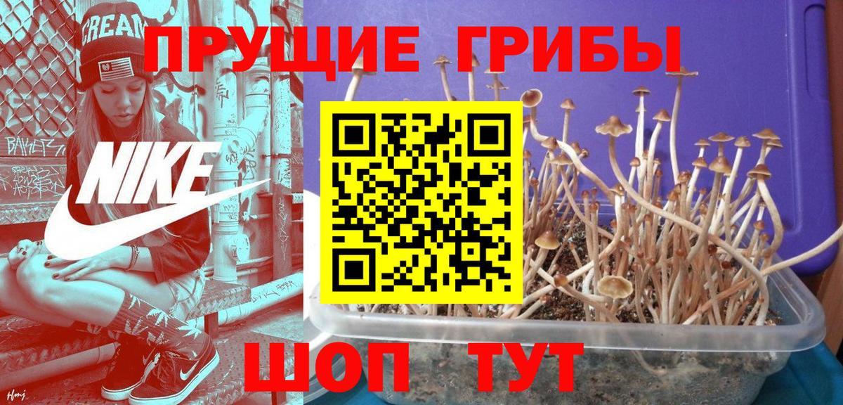 Псилоцибиновые грибы мухоморы  Вход с VPN  Губаха 