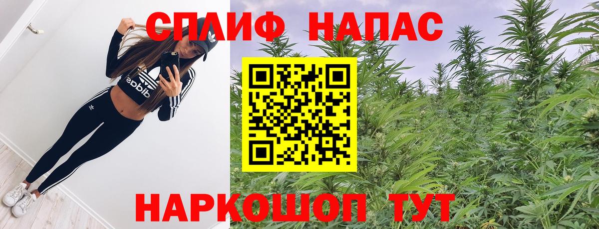 МАРИХУАНА сатива  Марихуана тримм  Губаха  МАРИХУАНА MAZAR  Бошки Шишки семена  Вход с VPN 